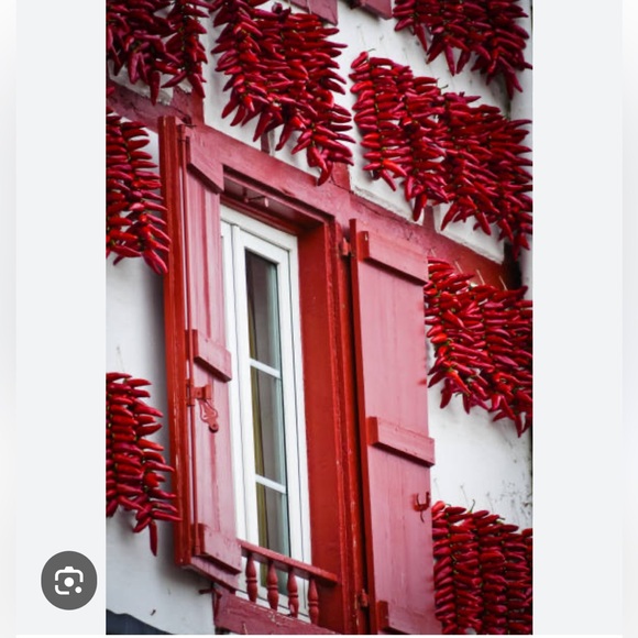 from 20 Oct to 10 November - Picture 5 of 14